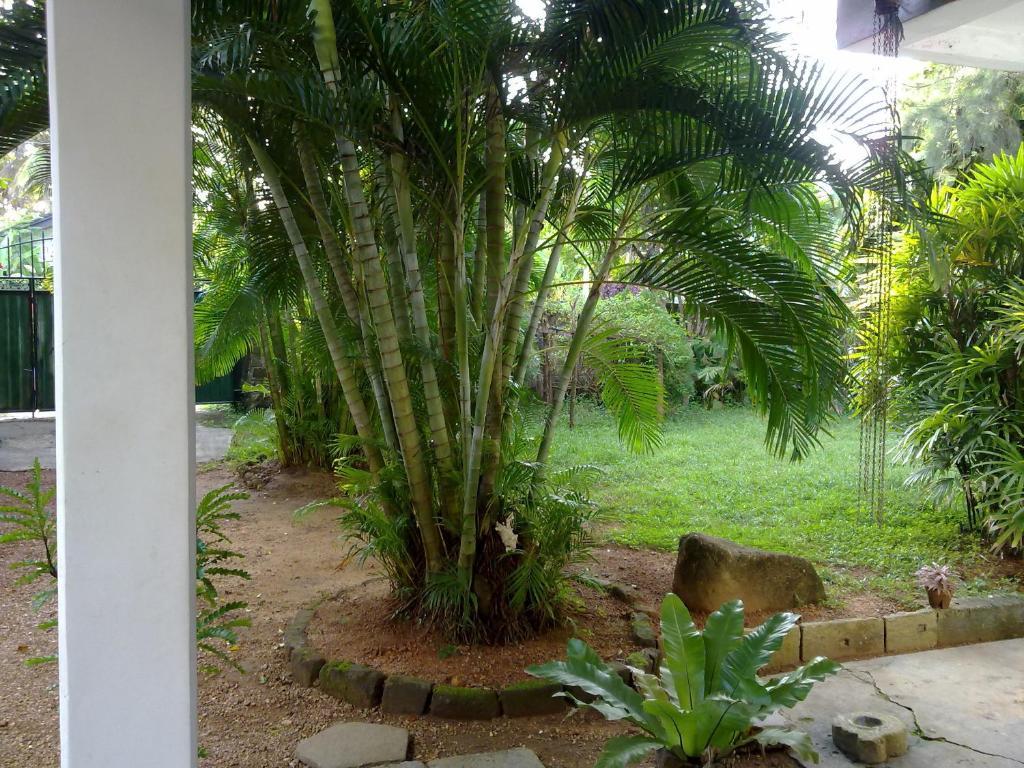 Sea Front Hikkaduwa Exterior foto