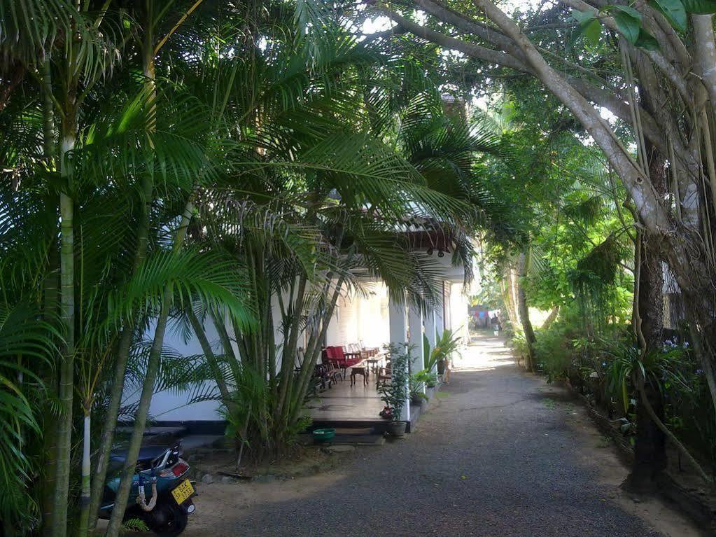 Sea Front Hikkaduwa Exterior foto