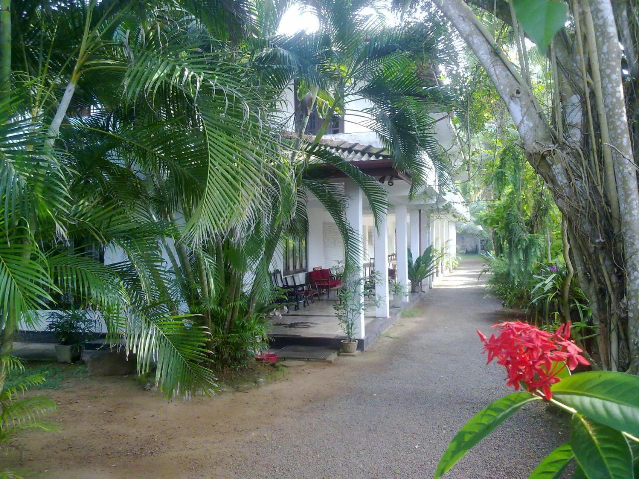 Sea Front Hikkaduwa Exterior foto